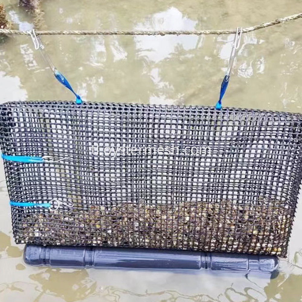 Hard Mesh Bag for Oyster